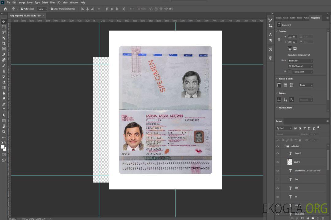 Passeport letton 2023-présent template